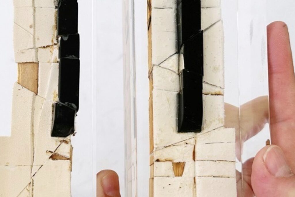 The Santa Fe College Gallery will present the Fluxus in the Swamp experimental art movement starting Friday, Sept. 6